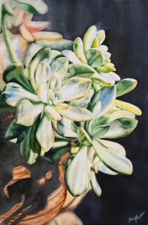 Succulent I - Watercolor Painting By Artist Thanh Ha