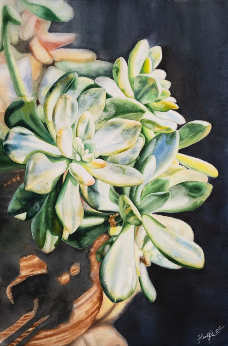Succulent I - Watercolor Painting By Artist Thanh Ha