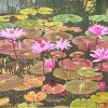 Pond of Noble Lotuses III Vietnamese Lacquer Painting By artist Nguyen Xuan Viet