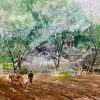 Spring Plowing Day - Vietnamese Watercolor Painting By Artist Nguyen Ngoc Phuong