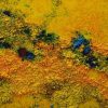 The Promising Path - Artist Tran Vinh Thinh