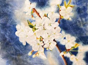 Blue Peach Blossoms - Watercolor Painting By Artist Thanh Ha