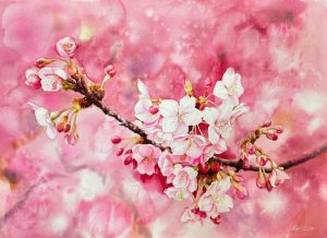 Pink Peach Blossoms - Watercolor Painting By Artist Thanh Ha