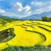 Golden Season in Northwest - Vietnamese Oil Painting by Artist Tran Nam