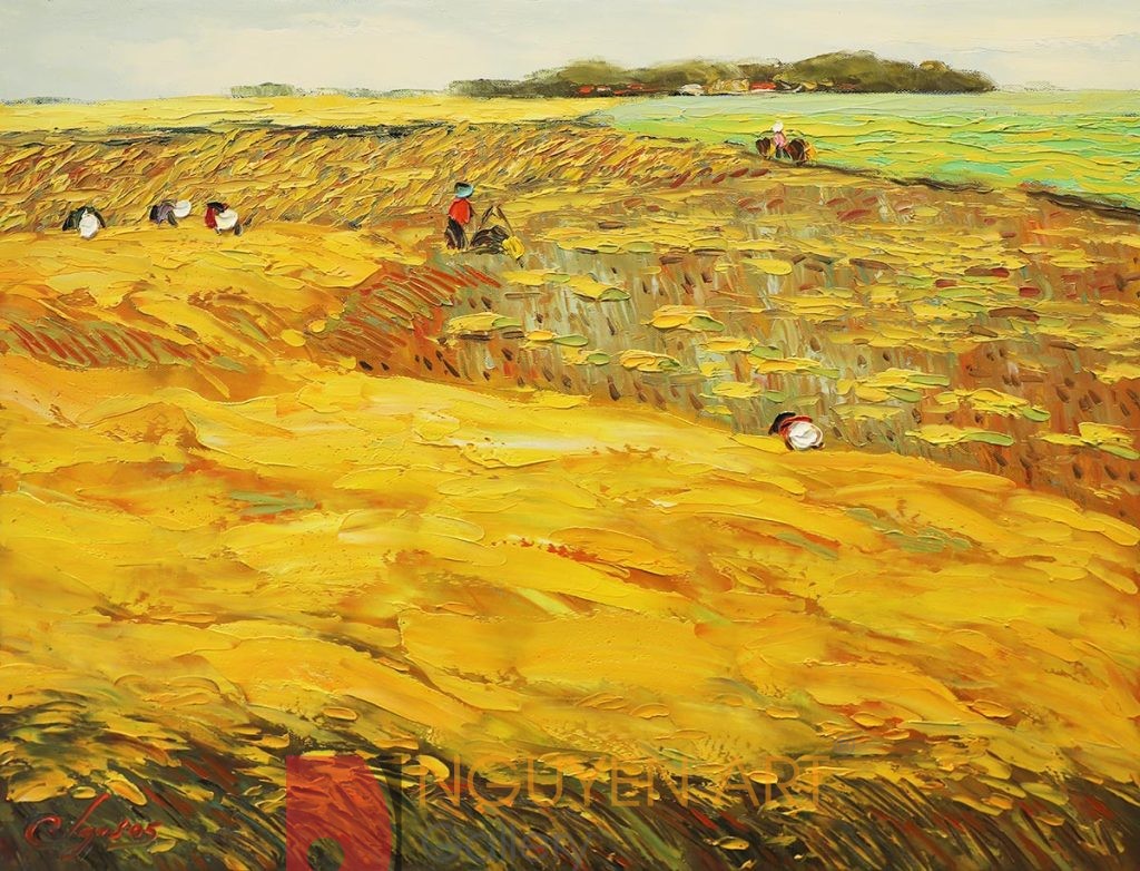 Harvest VII - Dang Dinh Ngo