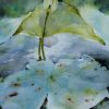 The Scent of Summer Lotus VI - Artist Dinh Duc