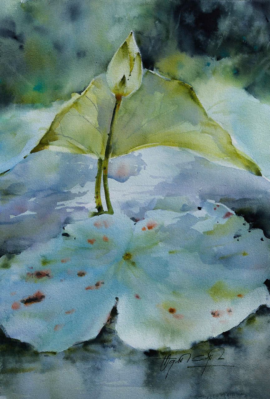 The Scent of Summer Lotus VI - Artist Dinh Duc