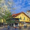 Milkwood Flowers On Street Corner Vietnamese Oil Painting by Artist Pham Hoang Minh