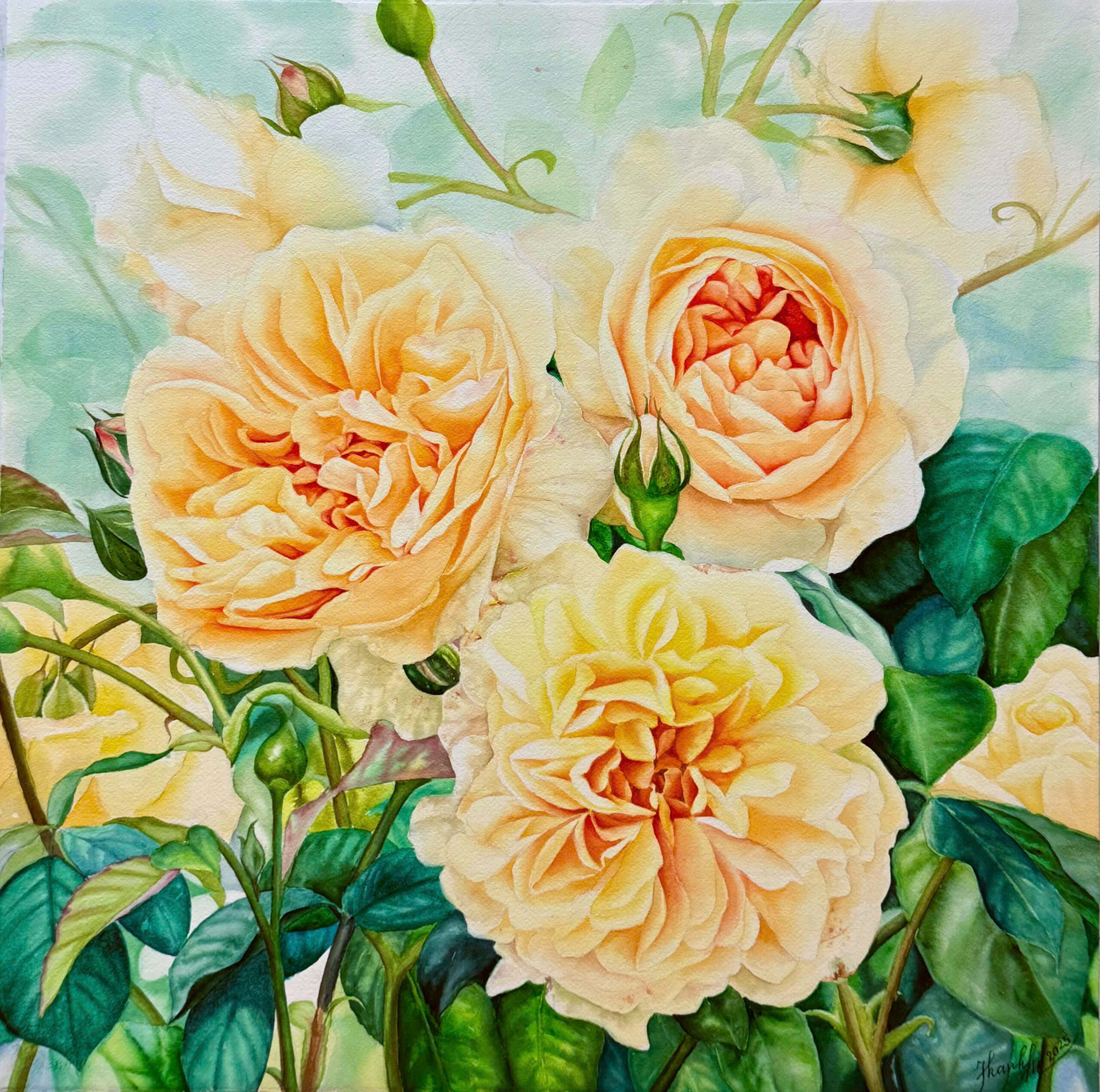 Charlotte Persimmon - Watercolor Painting By Artist Thanh Ha