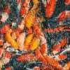 KOI Fish I - Vietnamese Oil Painting by Artist Nguyen Dinh Duy Quyen