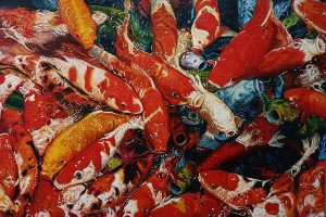 KOI fish