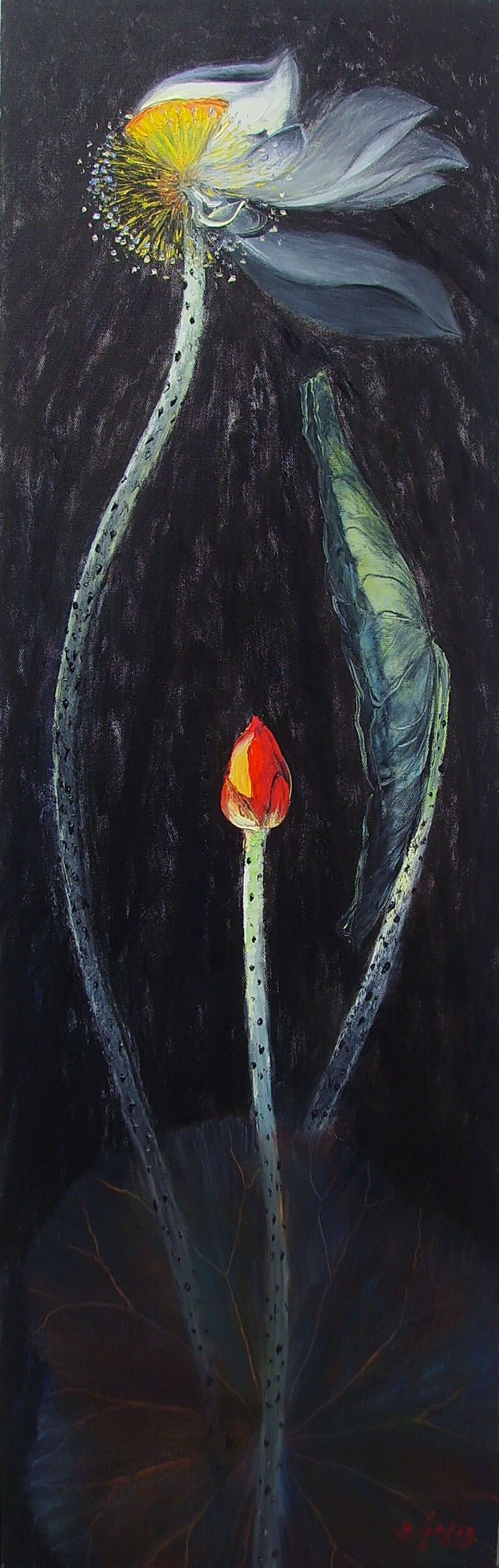 Lotus IV - Oil Paintings Flower by Artist Dang Dinh Ngo