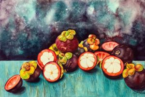 Mangosteen - Watercolor Painting By Artist Thanh Ha