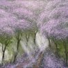 Morning Sunshine Vietnamese acrylic painting by artist Nguyen Lam