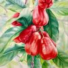 Season of Sweet Fruits - Watercolor Painting By Artist Thanh Ha