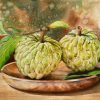Custard Apple - Watercolor Painting By Artist Thanh Ha