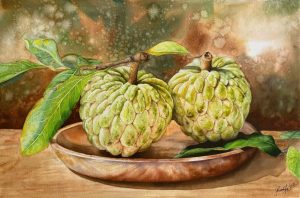 Custard Apple - Watercolor Painting By Artist Thanh Ha