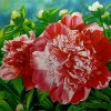 Peony I flower painting by artist Duy Quyen