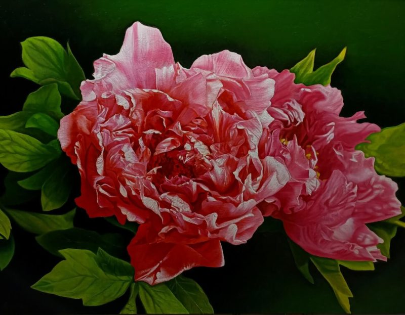 Peony II flower painting by artist Duy Quyen