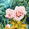 Peach Rose Watercolor Painting By Artist Thanh Ha