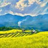Sunlight on Terrace - Vietnamese Oil Painting by Artist Tran Nam