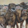 The Herd - Vietnamese Oil Painting by Artist Tran Viet Thuc