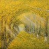 The Season Of Falling Leaves Vietnamese acrylic painting by artist Nguyen Lam