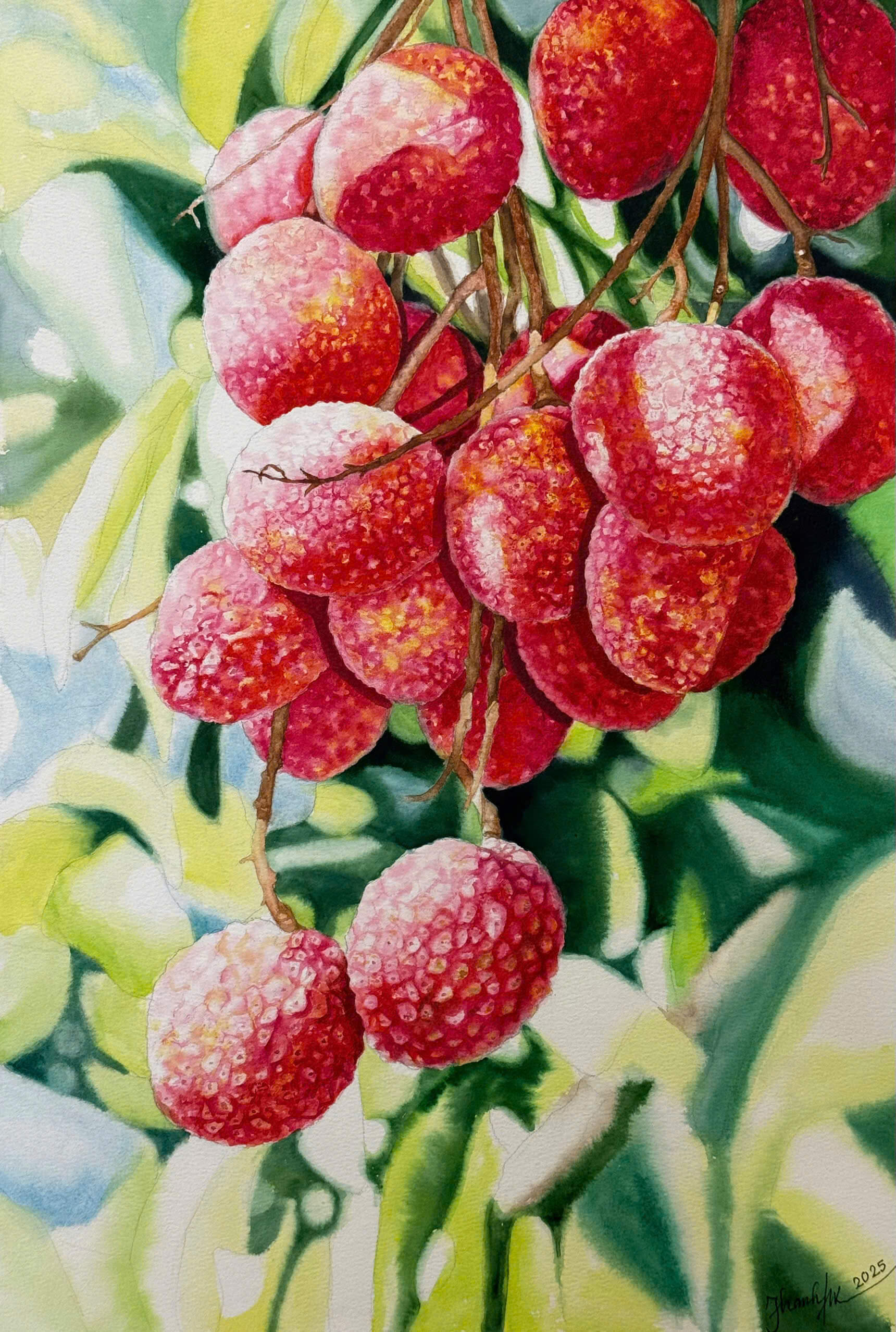 Lychee - Watercolor Painting By Artist Thanh Ha