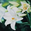 Memories Of Lilies - Watercolor Painting By Artist Thanh Ha