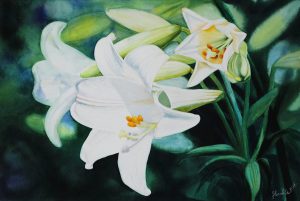 Memories Of Lilies - Watercolor Painting By Artist Thanh Ha