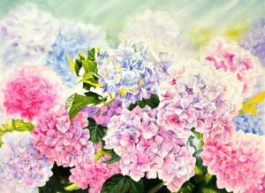 Hydrangea Blossom - Watercolor Painting By Artist Thanh Ha