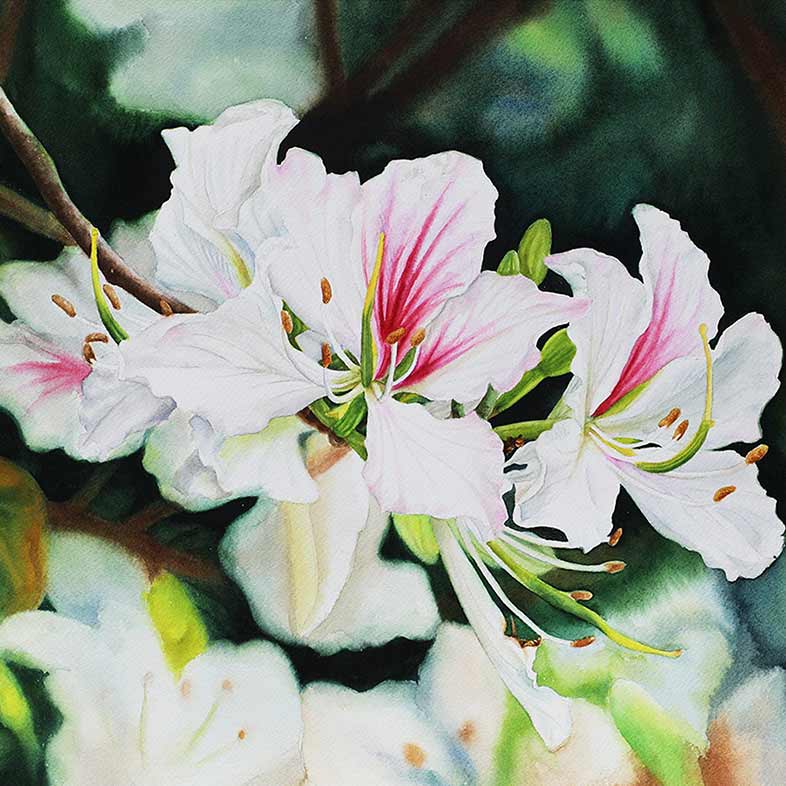 Ban Flower Season by Thanh Ha Artist