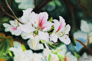 Ban Flower Season - Watercolor Painting By Artist Thanh Ha
