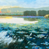 pond filled with lotus