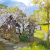 spring sunshine